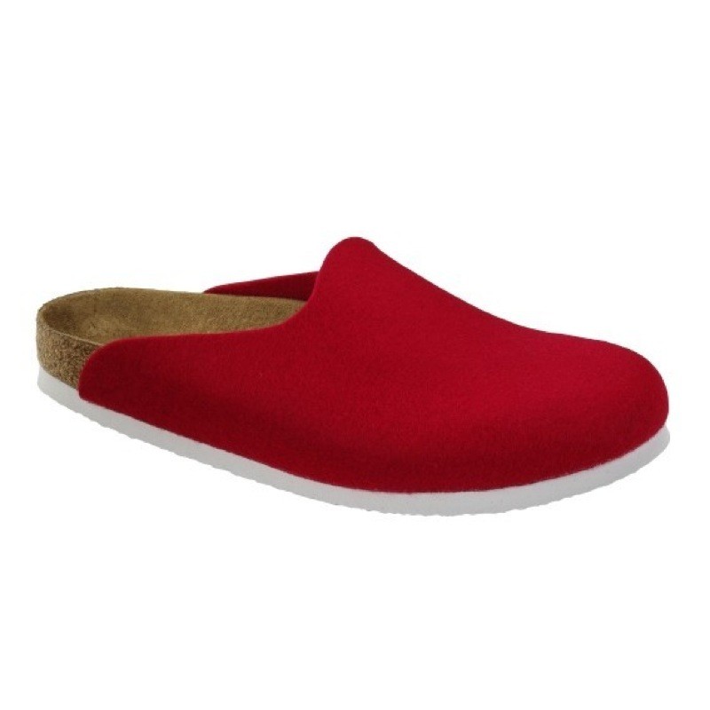 Birkenstock Amsterdam Felt Clogs Slippers Different Sizes AND Colors ...